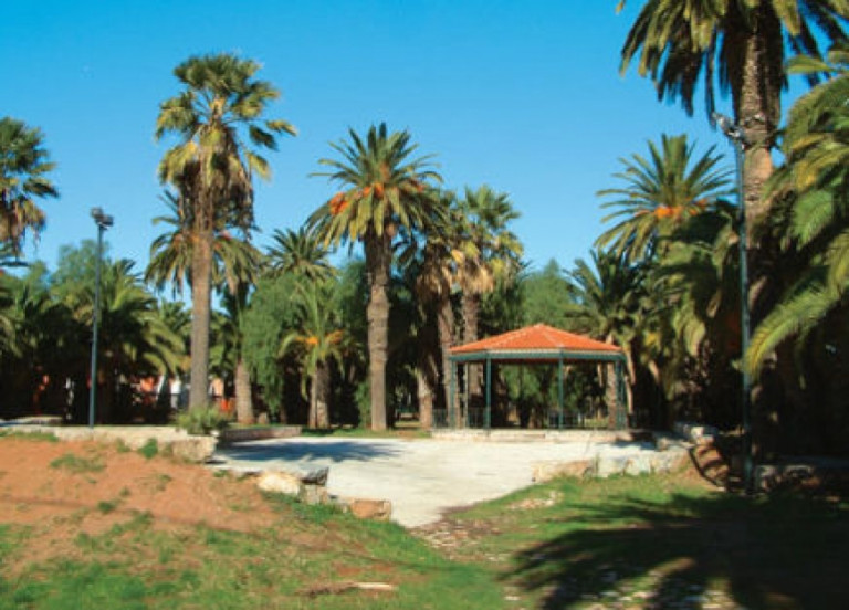 Λαύριο-Επιτέλους Φοινικοδάσος ξανά