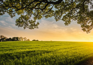 Κλιματική αλλαγή – Δεν αρκούν μόνο τα δάση…  