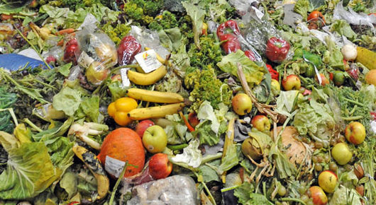 Editorial Ta Nea: Food waste