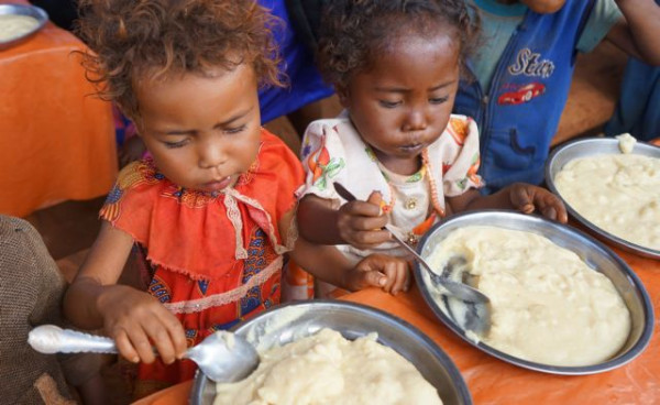 ΟΗΕ – 45 εκατ. άνθρωποι στο χείλος του λιμού – Τρώνε ακρίδες