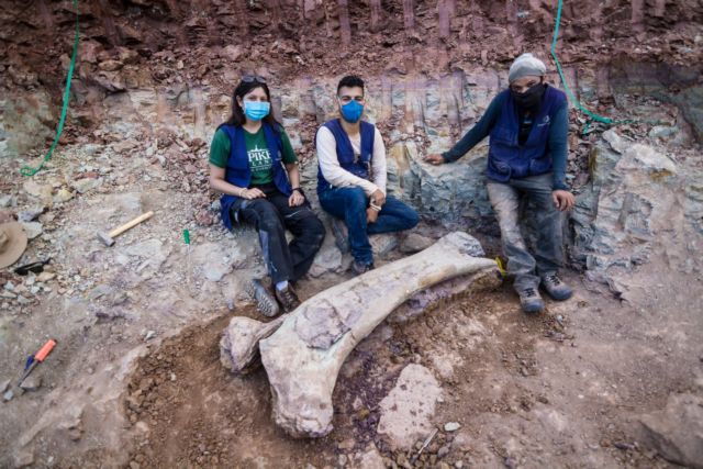 Βραζιλία – Ανακαλύφθηκε νέο είδος δεινοσαύρου – Εκπληκτοι έμειναν οι επιστήμονες
