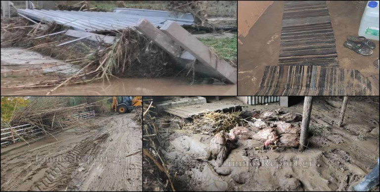 Λήμνος – Αίτημα να κηρυχθεί η ΔΕ Μύρινας σε κατάσταση έκτακτης ανάγκης