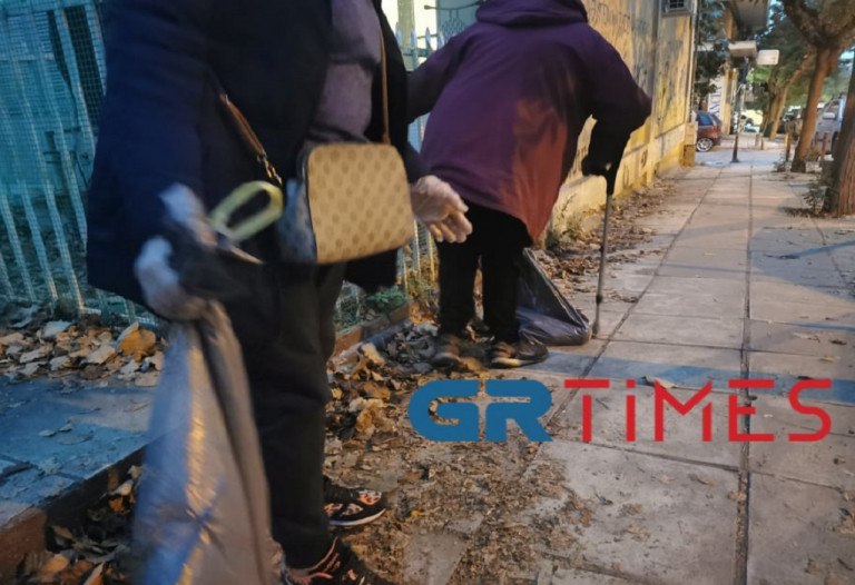 Κτηνωδία στη Θεσσαλονίκη – Δηλητηρίασαν 20 γάτες [Σκληρές εικόνες]