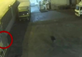 Θάνατος 8χρονης στο Κερατσίνι – Οι μοιραίες στιγμές και η εντολή σε υπάλληλο – Μήνυση από την οικογένεια