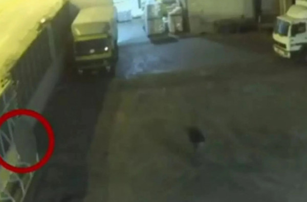 Θάνατος 8χρονης στο Κερατσίνι – Οι μοιραίες στιγμές και η εντολή σε υπάλληλο – Μήνυση από την οικογένεια