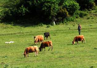 ΥπΑΑΤ – Εξι διευκρινίσεις για ομαλή διεξαγωγή πληρωμών από τον ΟΠΕΚΕΠΕ