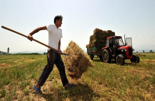 Σταϊκούρας – Λιβανός – Επιστροφή Ειδικού Φόρου Κατανάλωσης σε 200.000 αγρότες