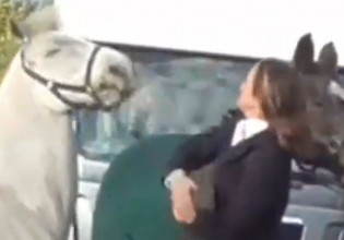 Παγκόσμια κατακραυγή για κακοποίηση αλόγου στην Βρετανία – Αναβάτης το κλωτσάει και το χαστουκίζει