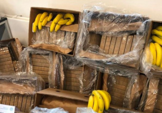 Το πρωί μανάβης, το βράδυ «βαρώνος» σε καρτέλ της Αθήνας – Έκρυβε κοκαΐνη σε… μπανανόκουτες