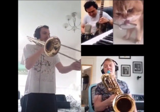 Γάτα – Πίνει το γάλα της εκστασιασμένη, γουργουρίζει και γίνεται μουσικό hit – Ακούστε το