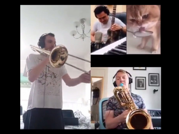 Γάτα – Πίνει το γάλα της εκστασιασμένη, γουργουρίζει και γίνεται μουσικό hit – Ακούστε το