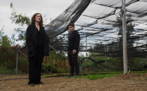 Η Γη της Ελιάς – Ζευγάρι με τον Κωνσταντίνο η Ισμήνη – Έξαλλος ο Λυκούργος