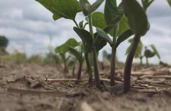 Επιχειρησιακή Ομάδα στη Γερμανία στοχεύει στην καινοτομία