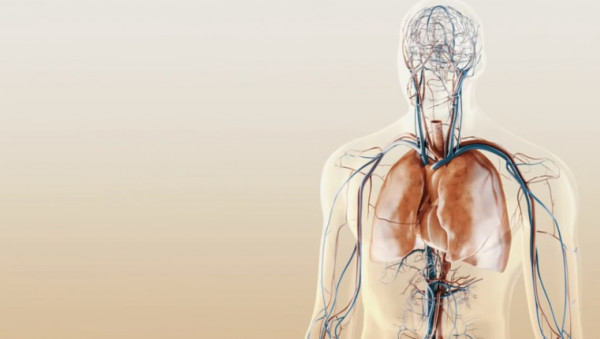 Προτεραιότητα στον προσυμπτωματικό έλεγχο για τον καρκίνο του πνεύμονα