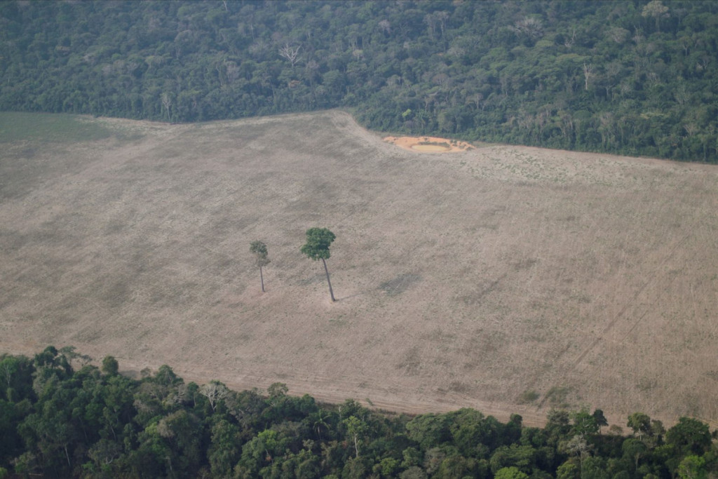 Αμαζόνιος – Κατά 22% αυξήθηκε η αποψίλωση του δάσους – Ο ρόλος του Μπολσονάρο