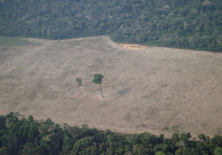 Αμαζόνιος – Κατά 22% αυξήθηκε η αποψίλωση του δάσους – Ο ρόλος του Μπολσονάρο