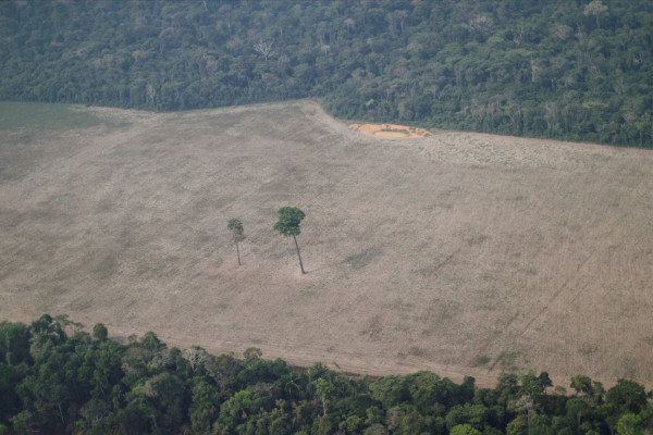 Αμαζόνιος – Κατά 22% αυξήθηκε η αποψίλωση του δάσους – Ο ρόλος του Μπολσονάρο