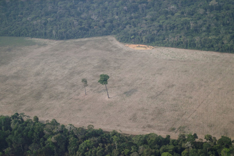 Αμαζόνιος – Κατά 22% αυξήθηκε η αποψίλωση του δάσους – Ο ρόλος του Μπολσονάρο