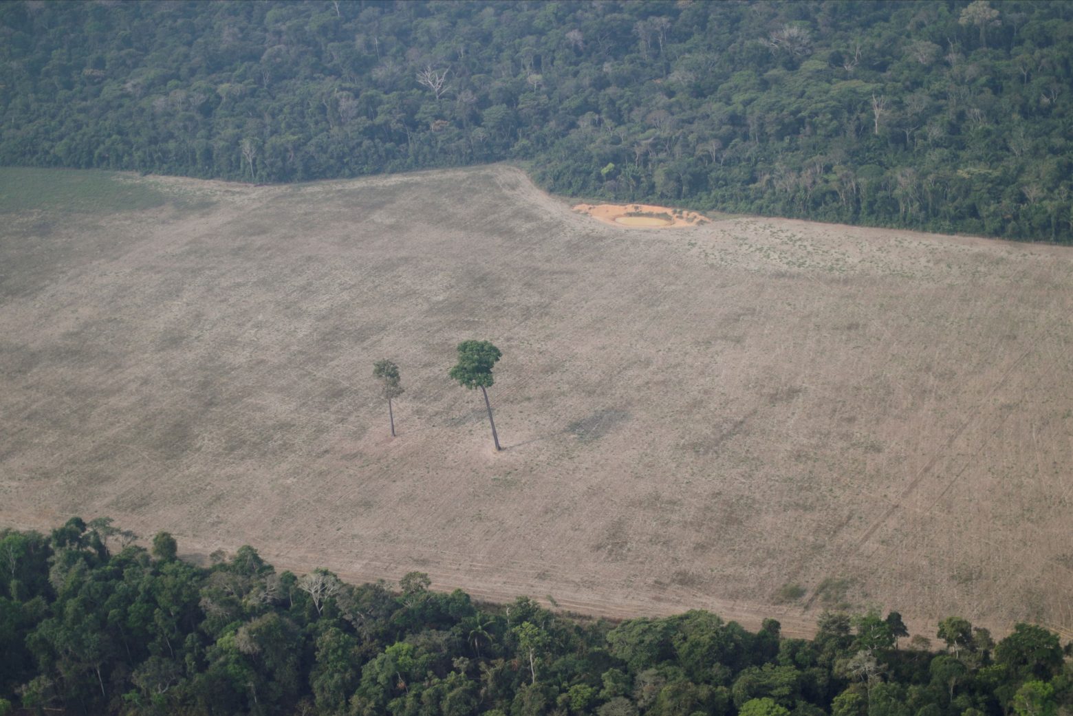 Αμαζόνιος - Κατά 22% αυξήθηκε η αποψίλωση του δάσους - Ο ρόλος του Μπολσονάρο