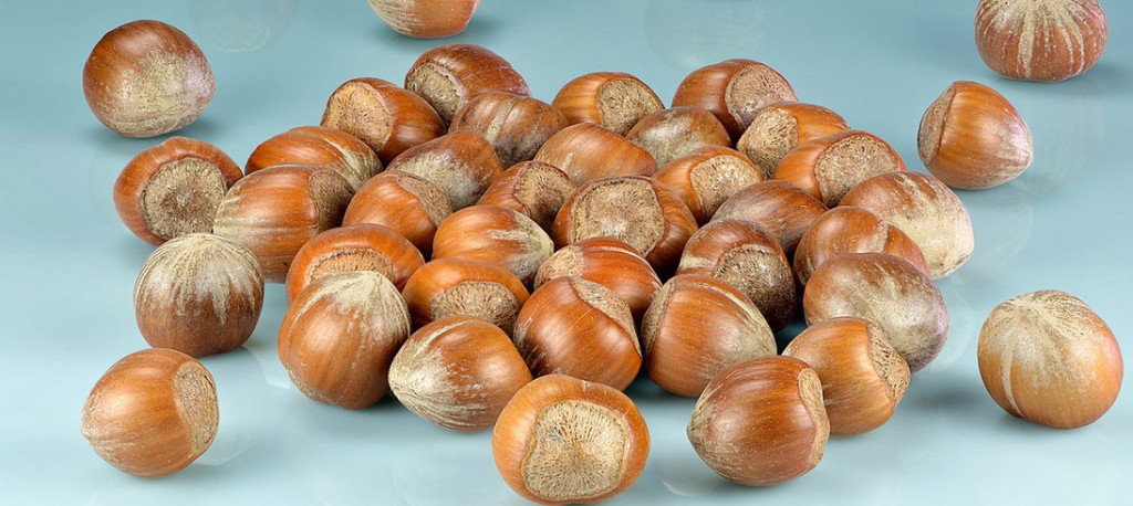 Τα οκτώ οφέλη για την υγεία σας από την κατανάλωση φουντουκιών – Τι πρέπει να προσέχετε