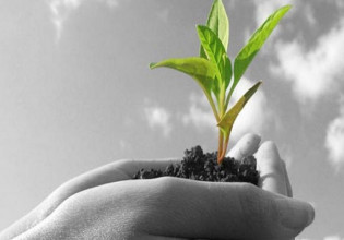 Επεκτείνεται το δικαίωμα άσκησης επαγγέλματος γεωπόνου