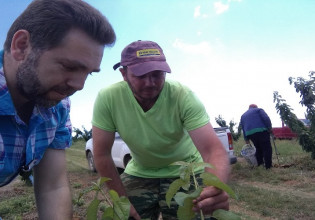 Γεωργικοί σύμβουλοι – Προδημοσιεύτηκε η πρόσκληση – Τι προβλέπει