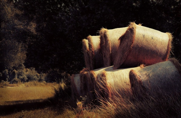 Προϋπολογισμός – Πόσα χρήματα θα δοθούν στον πρωτογενή τομέα