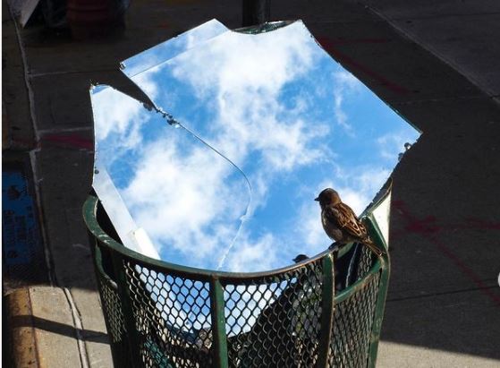 Το χιούμορ θα υπάρχει πάντα στους δρόμους της Νέας Υόρκης χάρη στον φακό του Kogan