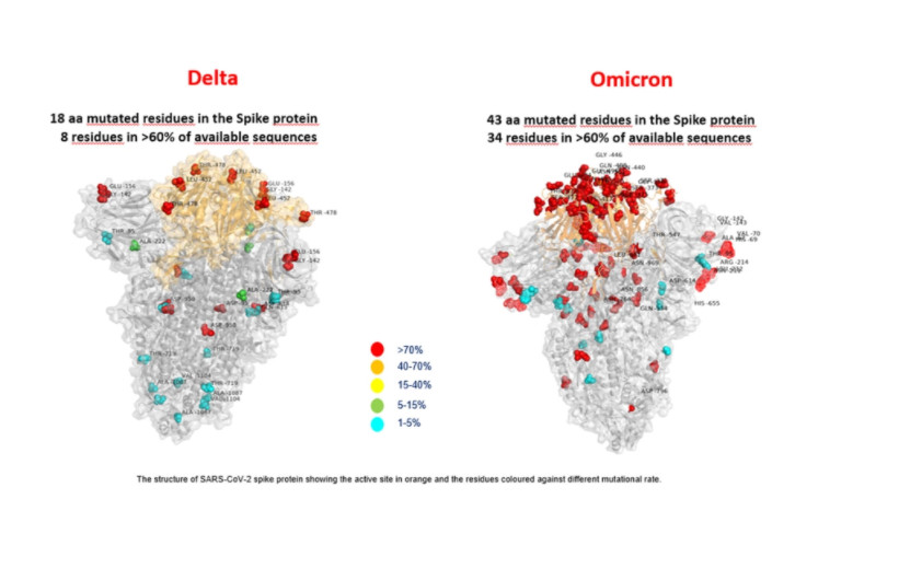 Όμικρον - Γράφημα δείχνει πόσες περισσότερες μεταλλάξεις έχει σε σχέση με τη «Δέλτα»