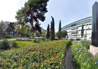 Τι δουλειά έχει ένας ιαπωνικός κήπος στο Παγκράτι; [εικόνες]