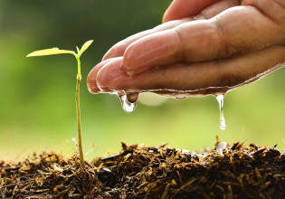 Στο επίκεντρο τα Εθνικά Στρατηγικά Σχέδια για την ΚΑΠ