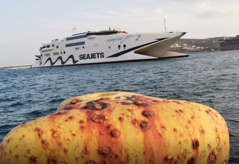 Σύρος – Ο καπετάνιος του Champion Jet 2 είπε «καλό χειμώνα» με τον δικό του ξεχωριστό τρόπο