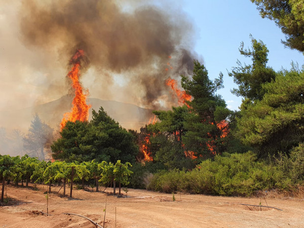 Πελοπόννησος – 4,5 εκατ. ευρώ για την αποκατάσταση πληγέντων περιοχών