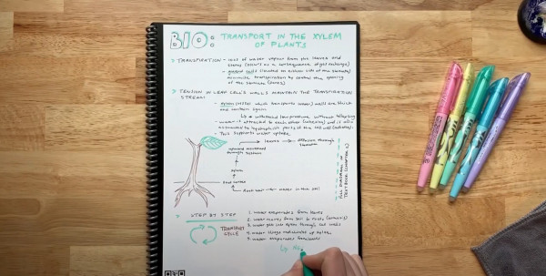 Δοκιμάσαμε το μοναδικό σημειωματάριο που θα χρειαστεί να αγοράσεις στη ζωή σου