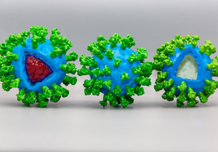 Κοροναϊός – Έρευνα ίσως ανοίγει το δρόμο για εμβόλια που μπλοκάρουν και την ασυμπτωματική λοίμωξη