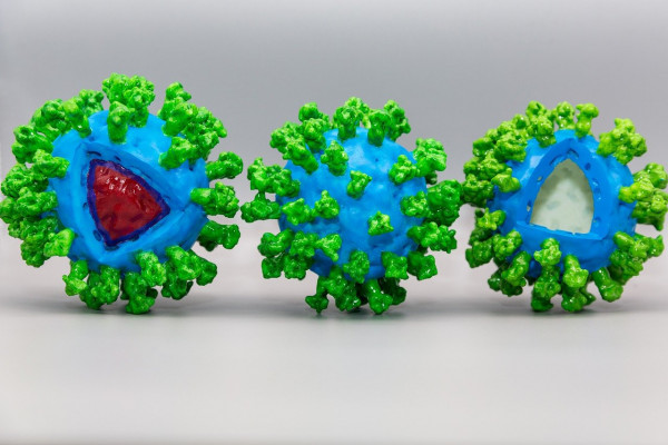 Κοροναϊός – Έρευνα ίσως ανοίγει το δρόμο για εμβόλια που μπλοκάρουν και την ασυμπτωματική λοίμωξη