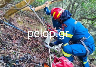 Αχαΐα – Επιχείρηση απεγκλωβισμού σκύλου – Έπεσε σε χαράδρα 60 μέτρων