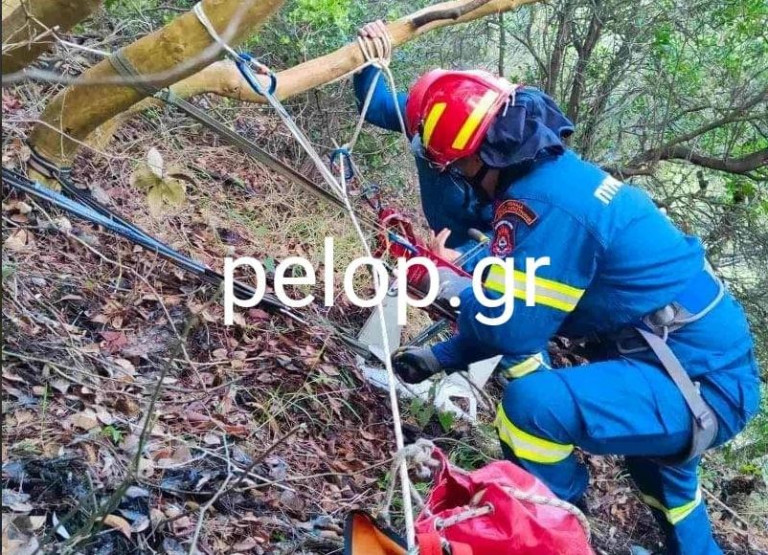 Αχαΐα – Επιχείρηση απεγκλωβισμού σκύλου – Έπεσε σε χαράδρα 60 μέτρων