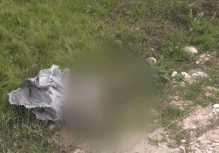 Σάμος – Φρικτός θάνατος σκύλου – Βρέθηκε κρεμασμένος σε ρεματιά