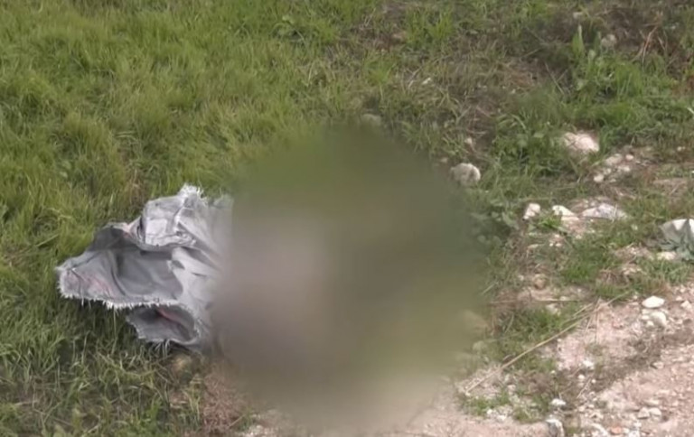 Σάμος – Φρικτός θάνατος σκύλου – Βρέθηκε κρεμασμένος σε ρεματιά