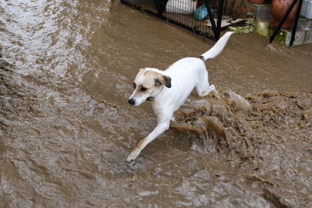 Έρχονται νέες βροχές και καταιγίδες – Μέχρι την Τρίτη η κακοκαιρία – Οι πρώτες πλημμύρες σε Αθήνα και Ηλεία (Βίντεο)