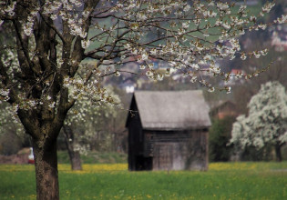 Έξυπνα χωριά – Υλοποίηση του οράματος για τις αγροτικές περιοχές της ΕΕ