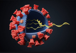 Κοροναϊός – Γιατί το Δέλτα είναι τόσο μεταδοτικό; Νομπελίστρια βιολόγος ίσως έλυσε το μυστήριο