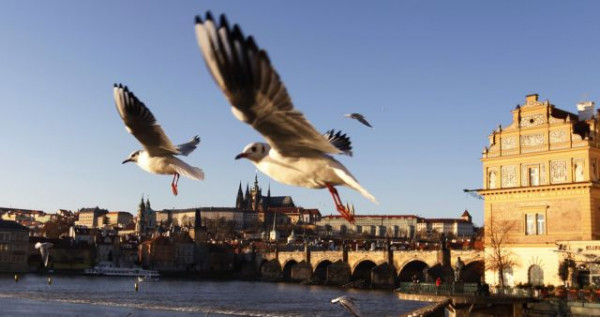 Κοροναϊός – Η Τσεχία απαγορεύει τα ταξίδια από τις Αφρικανικές χώρες
