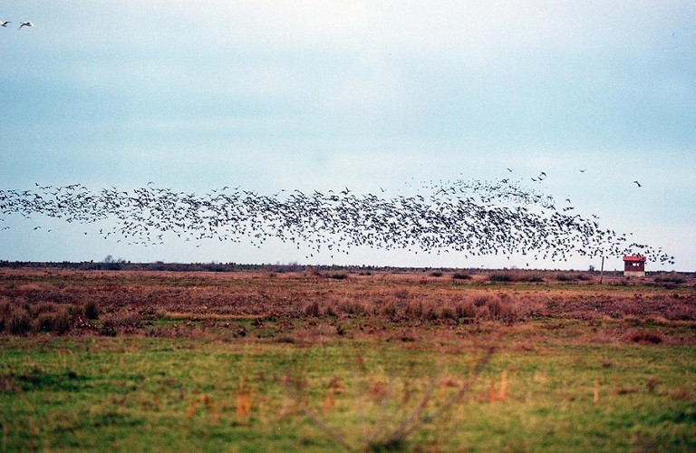 Πιστοποίηση προϊόντων σε προστατευόμενες περιοχές και περιοχές Natura 2000