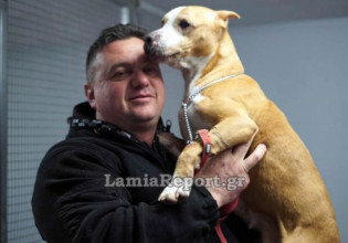 Λαμία – Κινδύνεψε να πνιγεί στις πλημμύρες για να σώσει 35 σκυλάκια