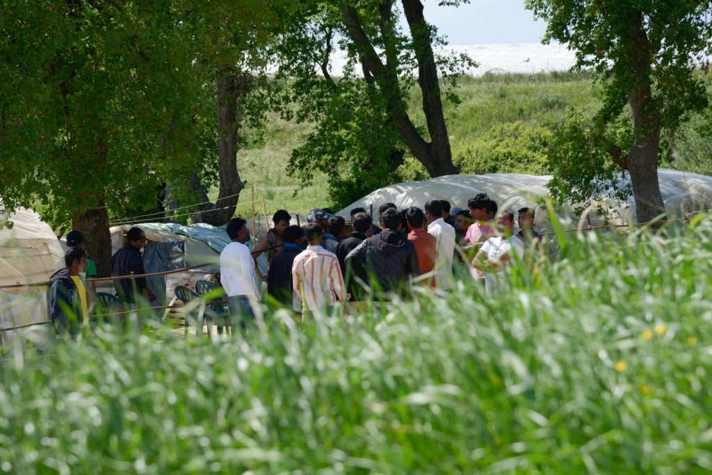Ηλεία – Απήγαγαν 23χρονο, τον έδεσαν σε δέντρο και τον άφησαν να πεθάνει – Πάγωσε το δικαστήριο