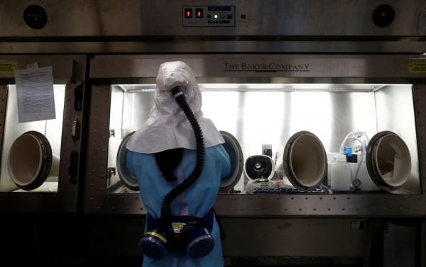 Κοροναϊός – Δάγκωμα ποντικού φέρεται να προκάλεσε κρούσμα σε εργαστήριο της Ταϊβάν