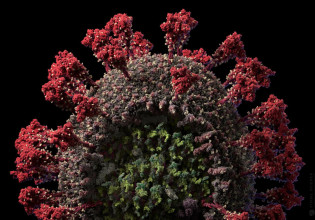 Κοροναϊός – Ο γλωσσικός Τρωικός Πόλεμος της μετάλλαξης