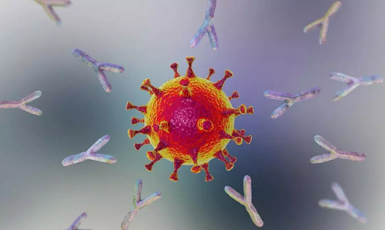 Μυτιλήνη – Μονοκλωνικά αντισώματα σε ασθενή – Πώς αντέδρασε στη θεραπεία